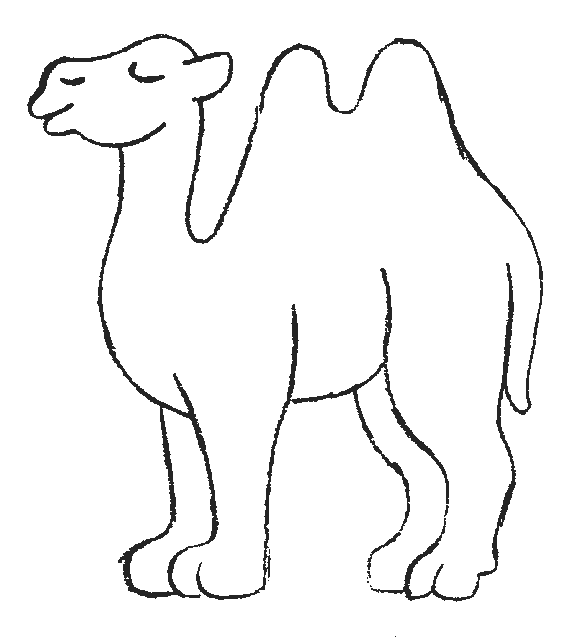 Camel Coloring Page
