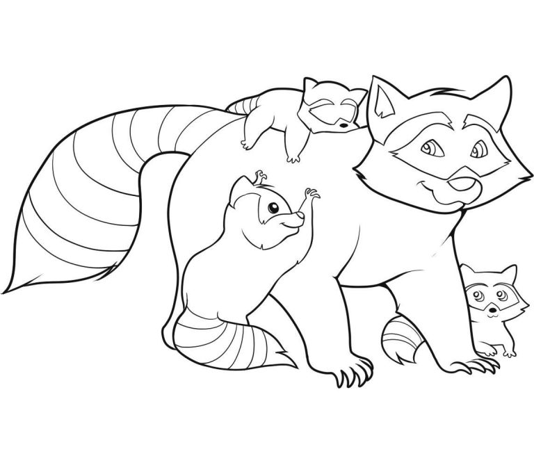 Raccoon Coloring Page
