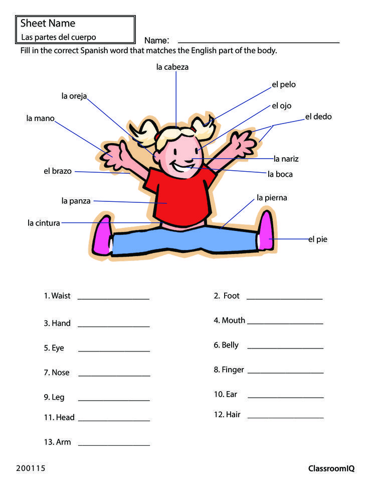 Body Part Worksheet In Spanish