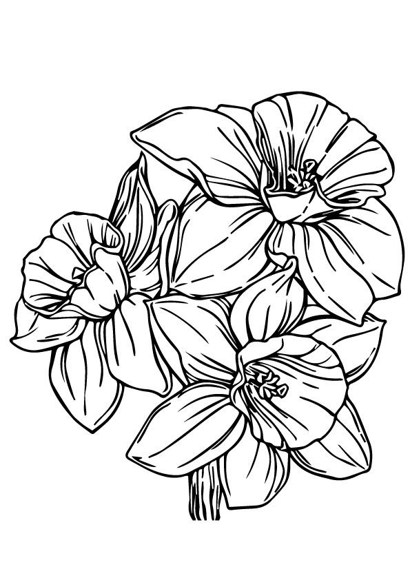 Momjunction Coloring Pages Flowers