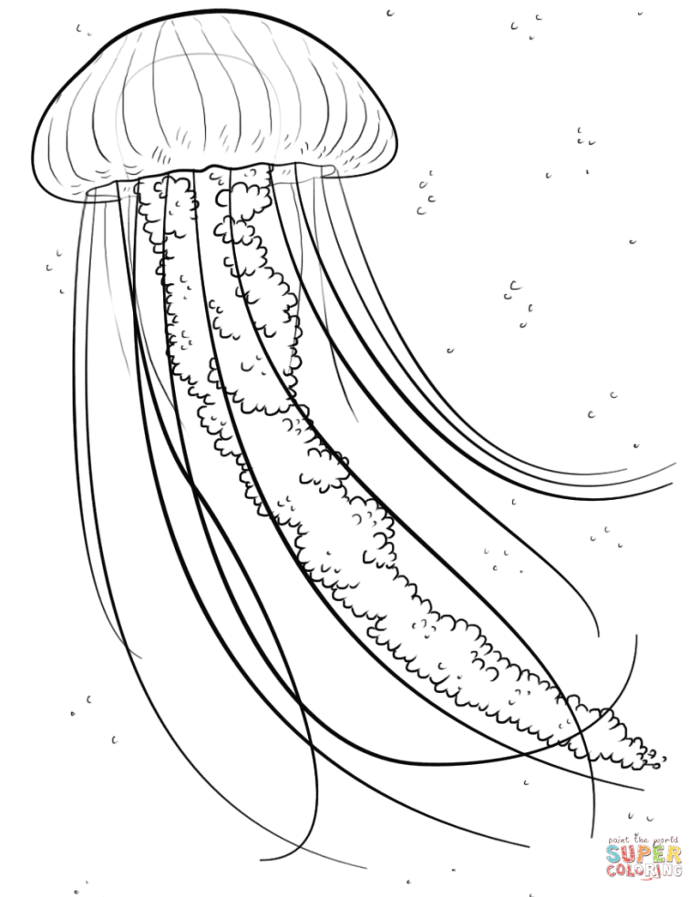 Detailed Jellyfish Coloring Page