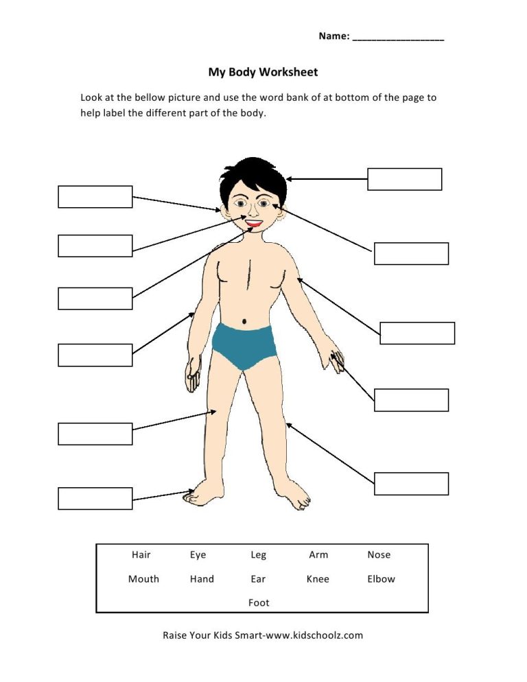 Body Worksheets For Grade 1