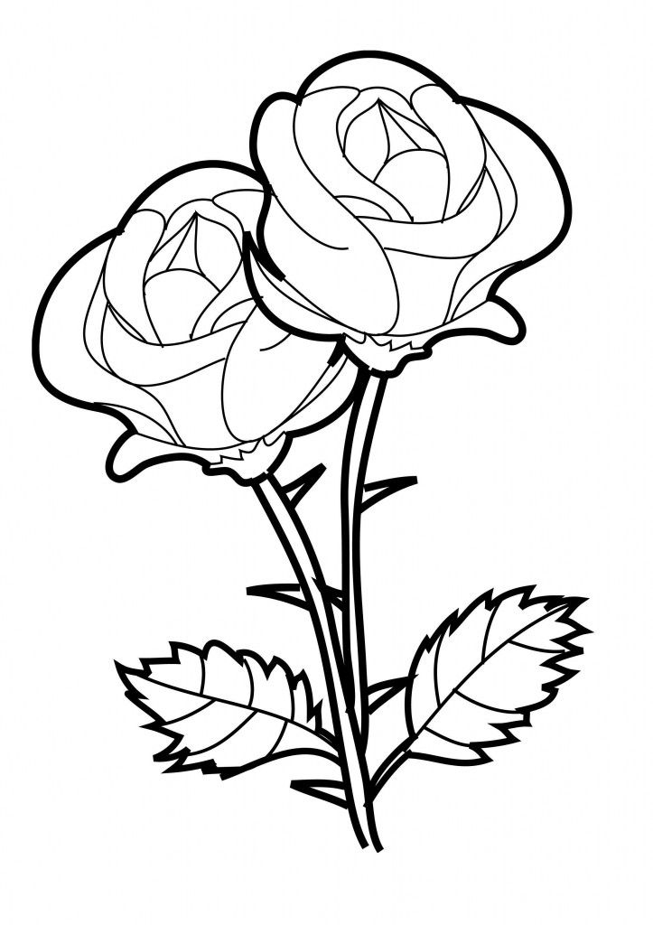 Rose Flower Coloring Pages
