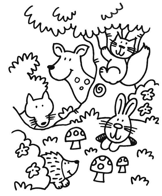 Nature Coloring Pages Forest