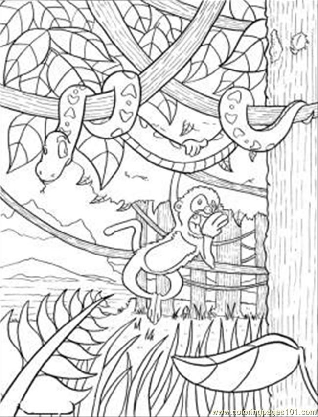 Jungle Coloring Pages Printable