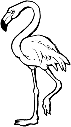 Flamingo Coloring Pages Easy