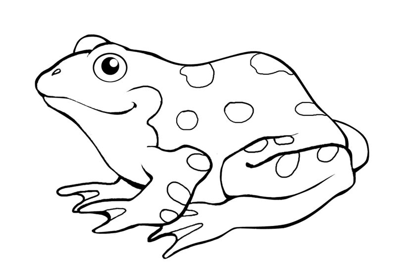 Frog Coloring