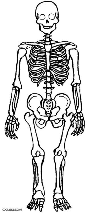 Skeleton Coloring Pages For Preschoolers