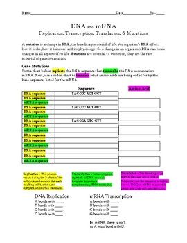 Dna Mutations Practice Worksheet