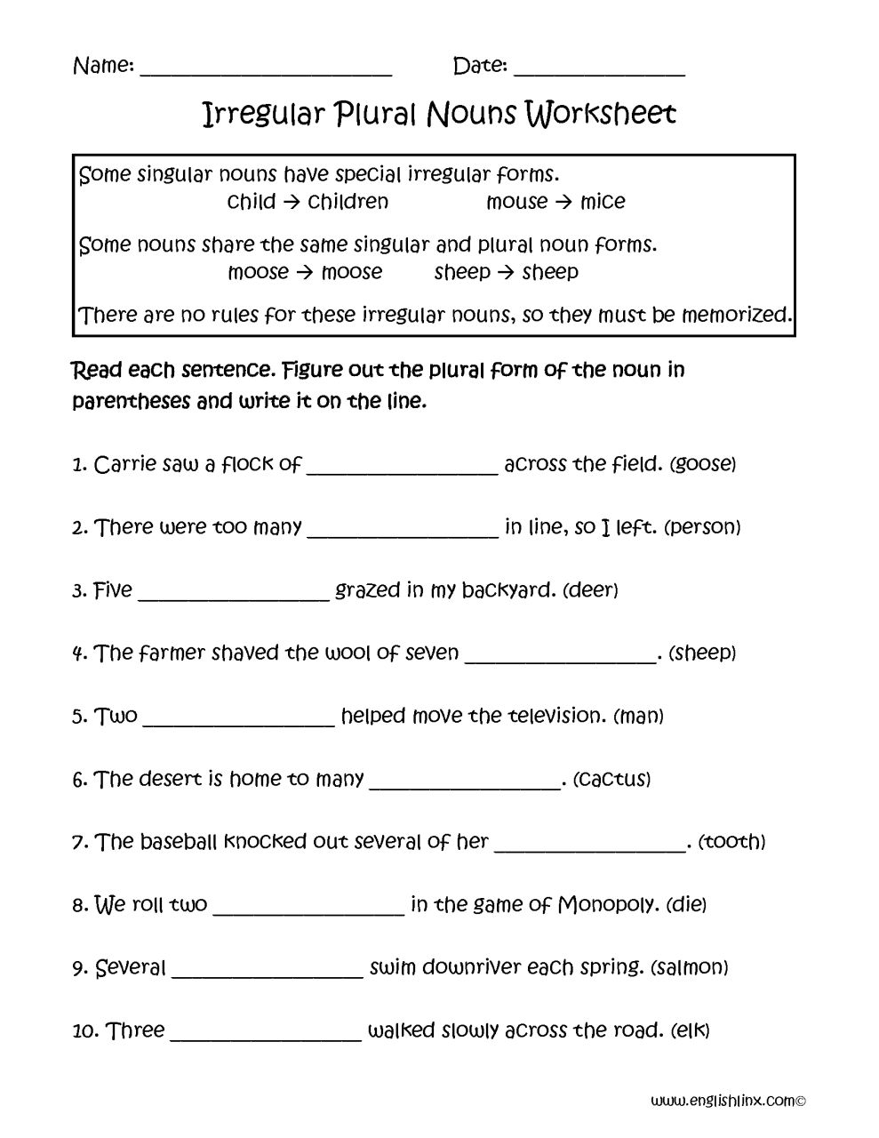 Irregular Plural Nouns Worksheet
