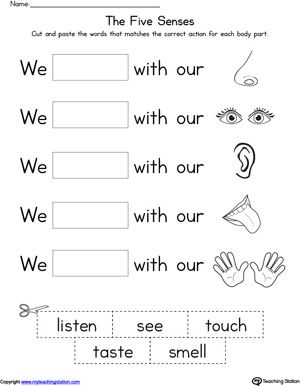 Five Senses Worksheets For Grade 1