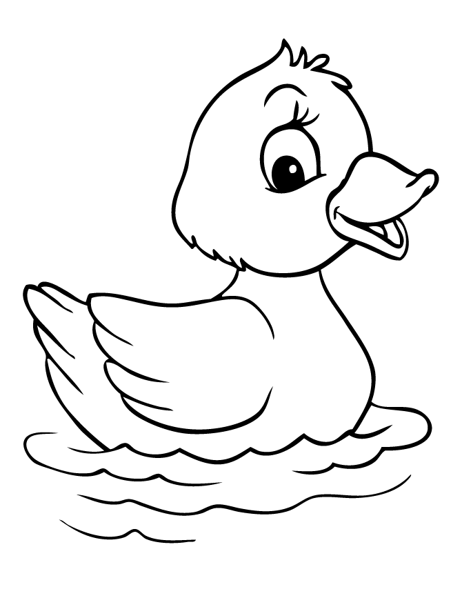Duck Coloring