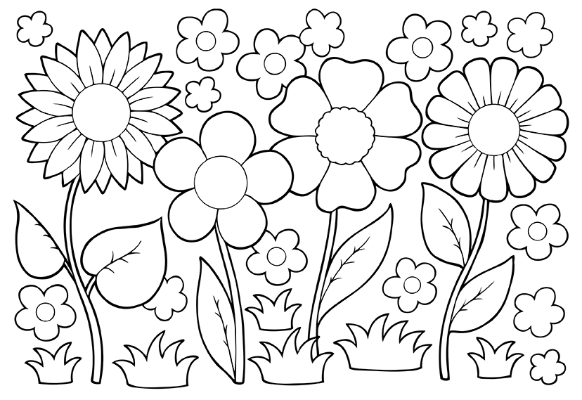 Coloring Books For Kids Pages