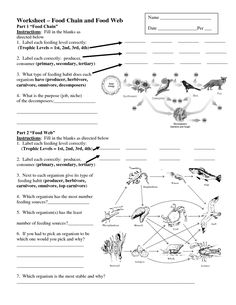 Food Webs And Food Chains Worksheet Answers