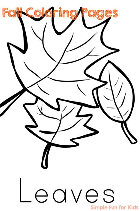Simple Coloring Pages Fall