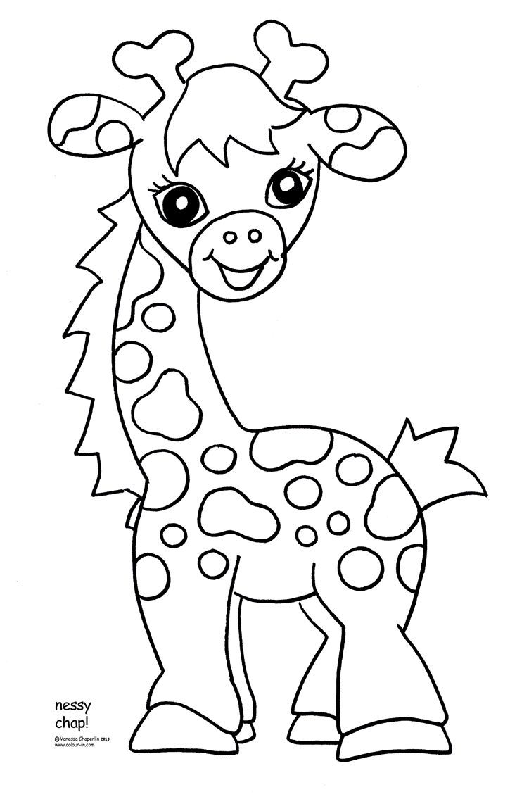 Drawing Sheets For Kids Animals