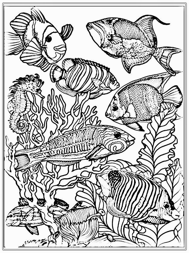 Fish Coloring Pages Detailed