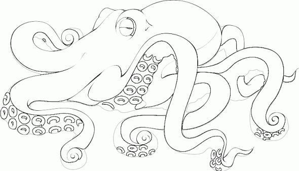 Octopus Coloring Page Realistic