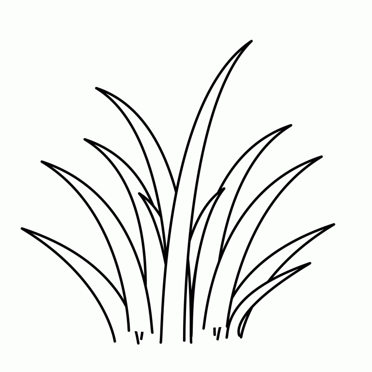 Grass Coloring Page