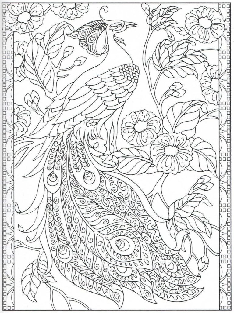 Peacock Coloring Pages Hard