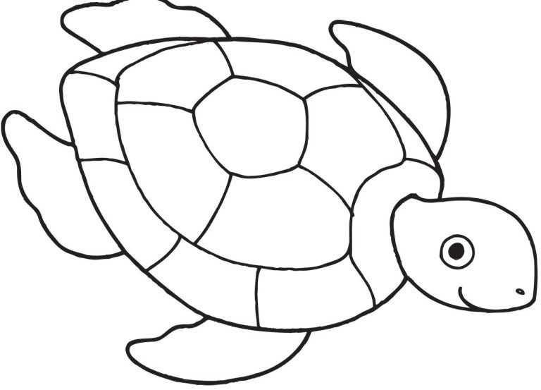 Sea Turtle Coloring Page Printable