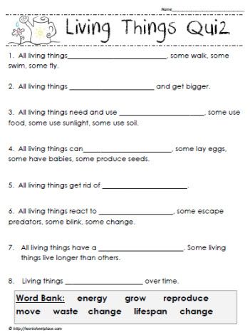 Living Things And Non Living Things Worksheet For Grade 3