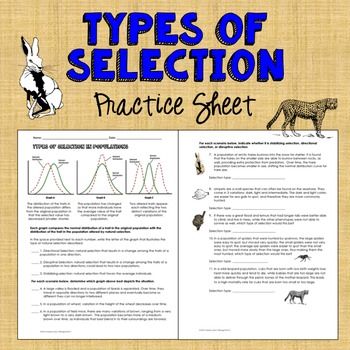 Types Of Natural Selection Worksheet