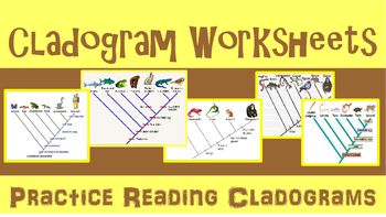 Cladogram Worksheet Answers Key Biology