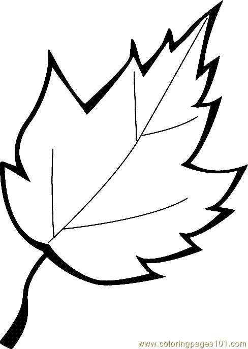 Leaf Coloring Pages For Preschoolers