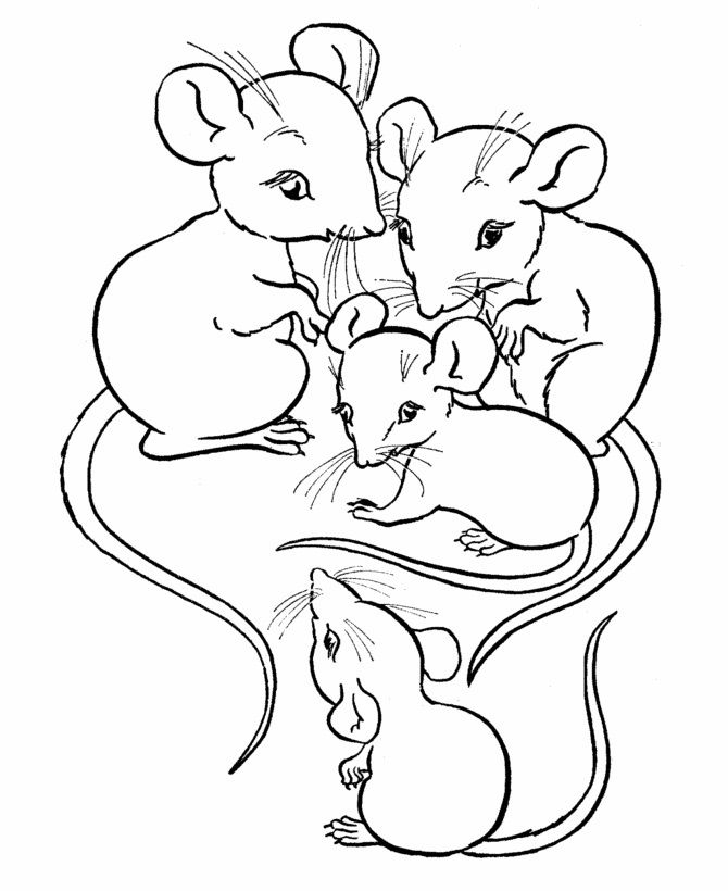Mouse Coloring