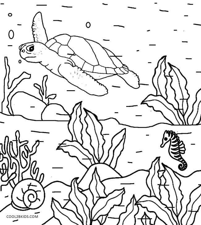 Nature Coloring Pages For Kindergarten