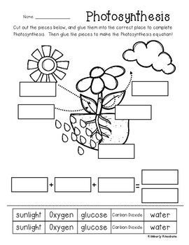 Photosynthesis Worksheet For Elementary Students