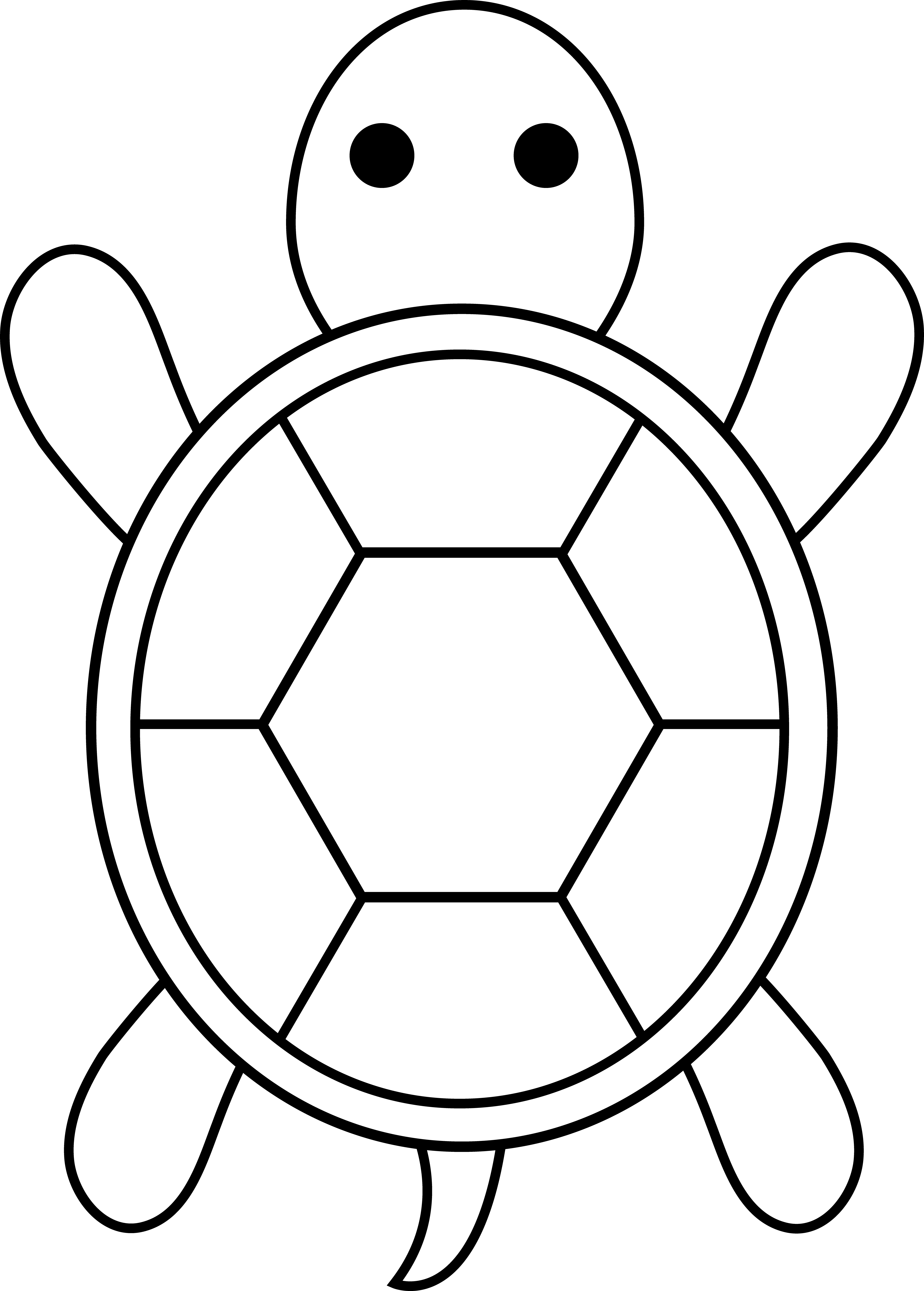 Turtle Coloring Pages Easy