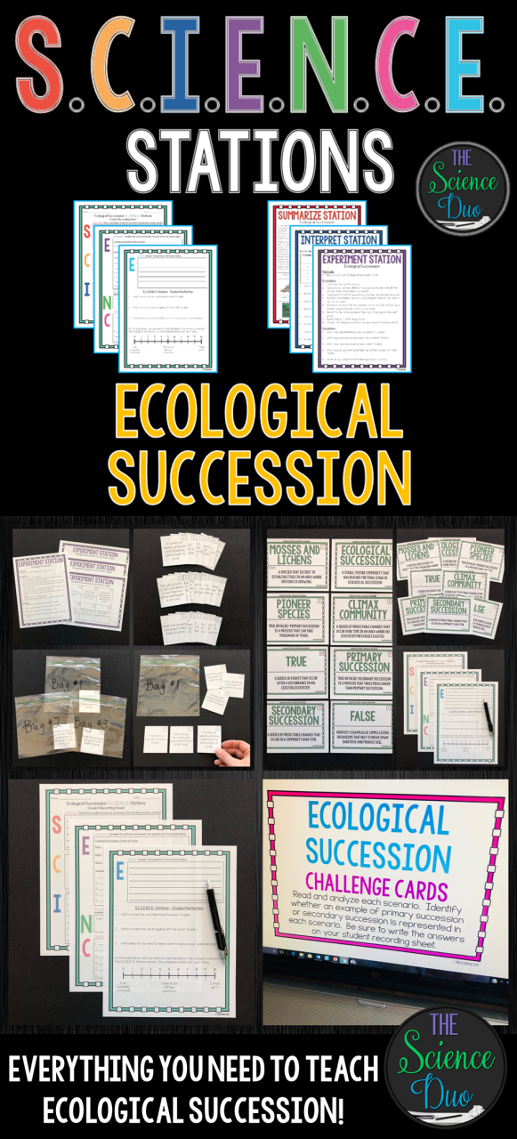 Ecological Succession Worksheet Answers Quizlet