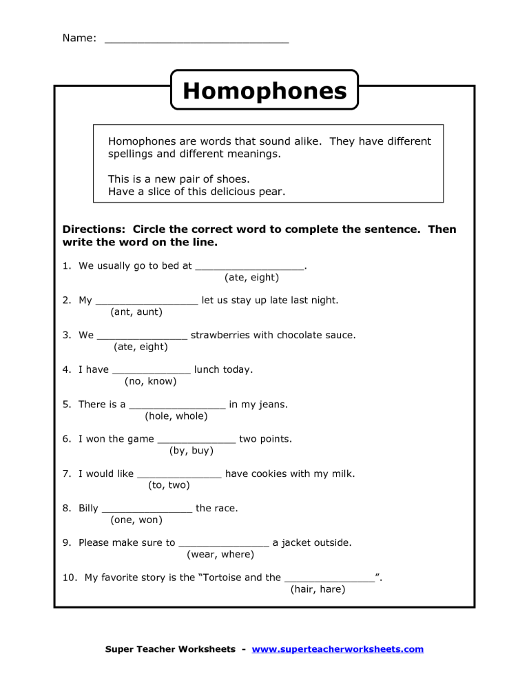 Homophones Sentences Worksheet Pdf
