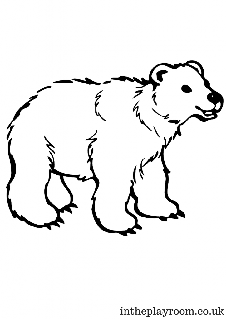 Realistic Polar Bear Coloring Pages