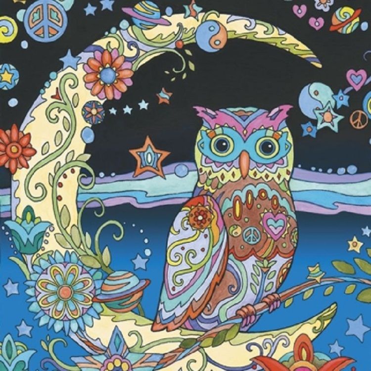 Owl Coloring Pages Finished
