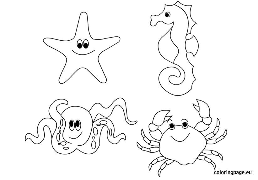 Ocean Coloring Pages Of Animals