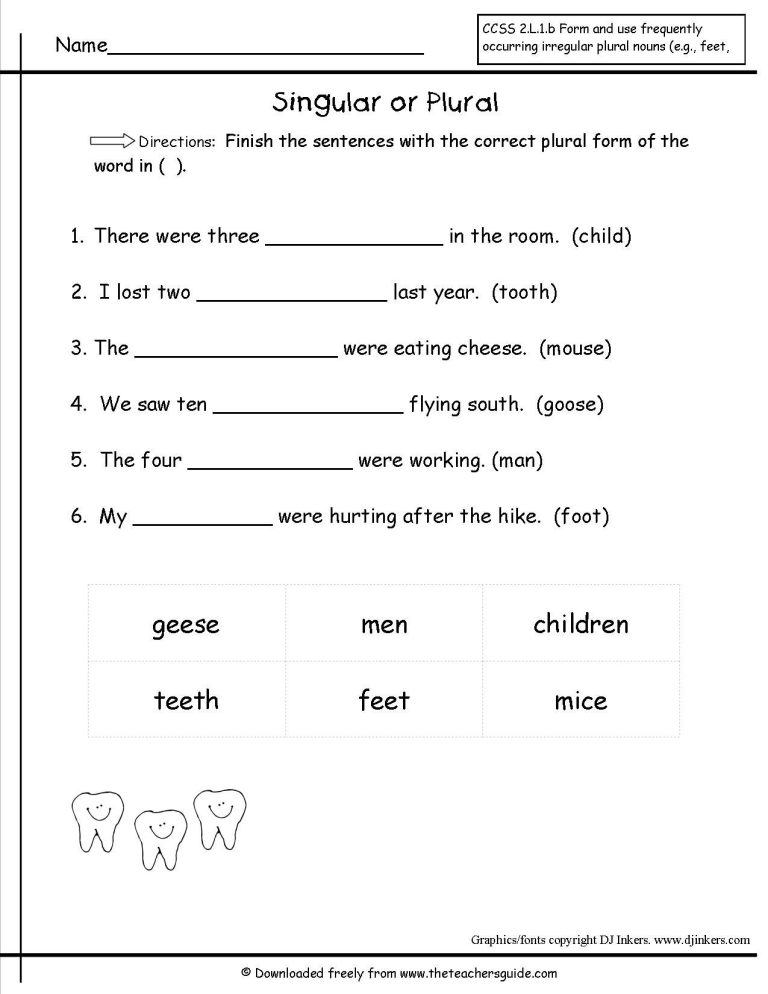 Irregular Plural Nouns Worksheet Grade 3