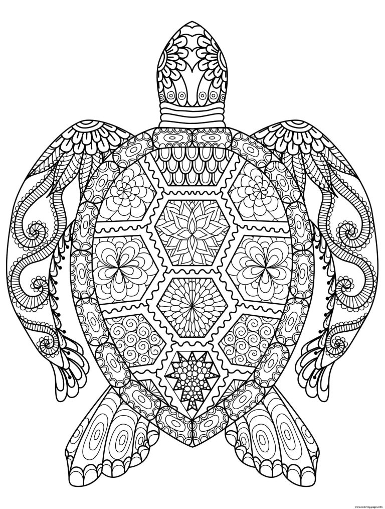 Mandala Colouring Pages Turtle