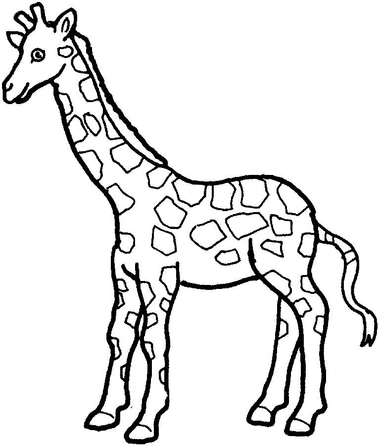Giraffe Coloring