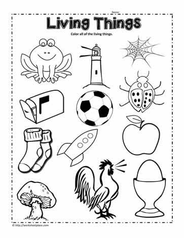 Living Things And Non Living Things Worksheet For Kindergarten