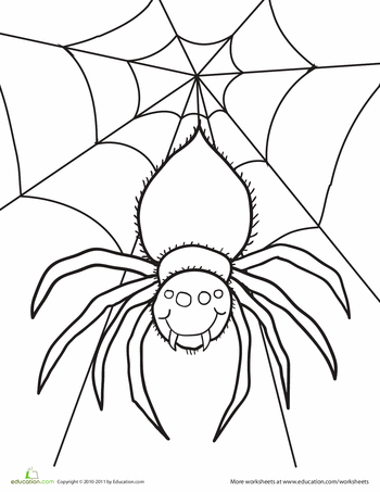 Spider Coloring Pages Simple