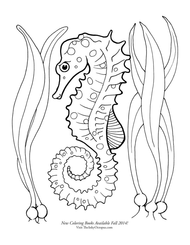 Seahorse Coloring Page Free