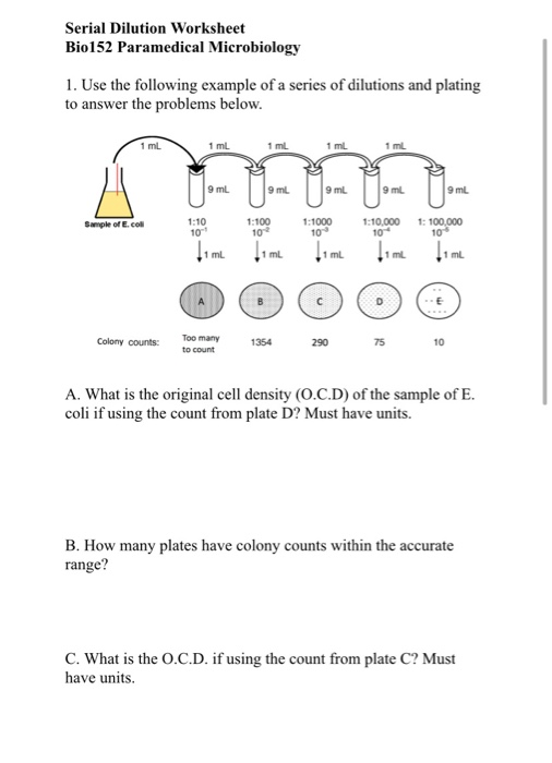 Dilutions Worksheet Microbiology
