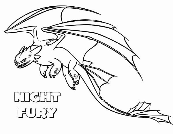 Realistic Toothless And Light Fury Coloring Pages