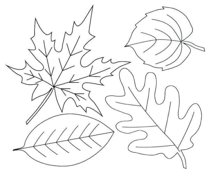 Printable Fall Leaves Coloring Pages