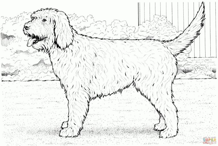 Realistic Animal Coloring Pages Dog