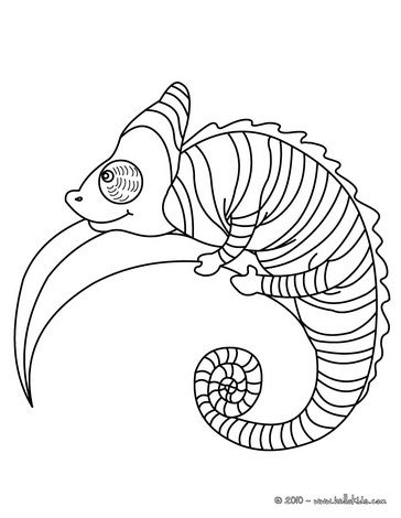 Realistic Chameleon Coloring Page