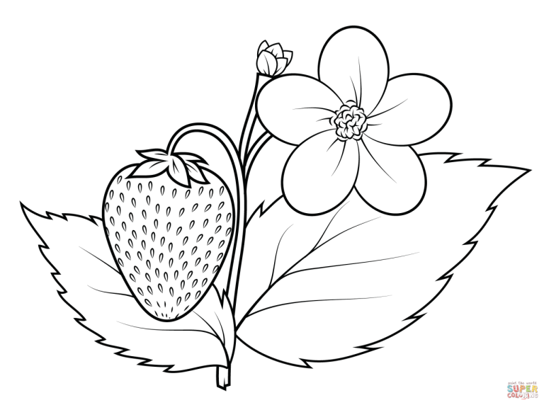 Plant Coloring Pages Free